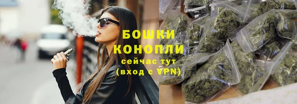прущие грибы Нягань