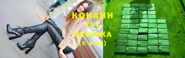 a pvp Няндома