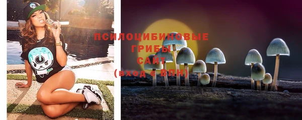 spice Нязепетровск