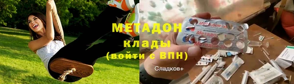прущие грибы Нягань