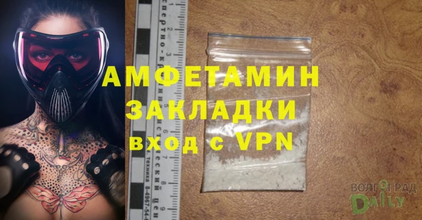 прущие грибы Нягань