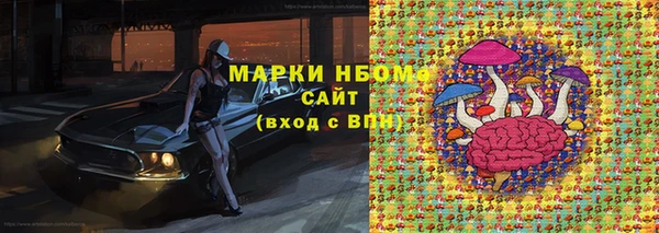 прущие грибы Нягань