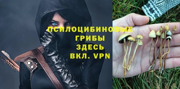 a pvp Няндома