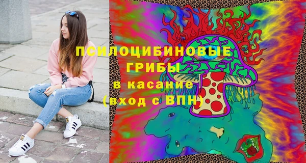 прущие грибы Нягань