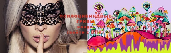 spice Нязепетровск