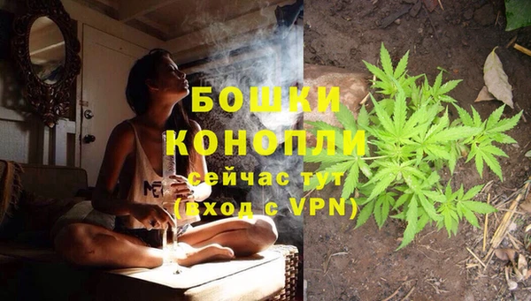 винт Осташков